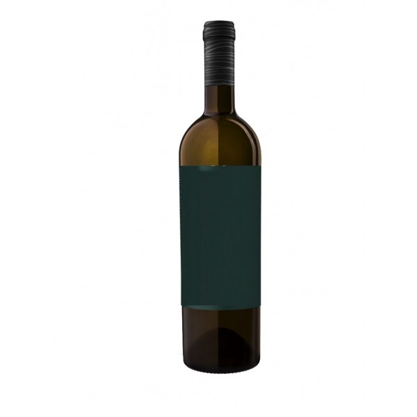 Pinot Grigio, vino bianco italiano leggero, Włochy